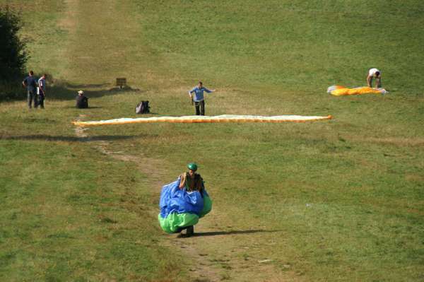 podejście z kalafiorem